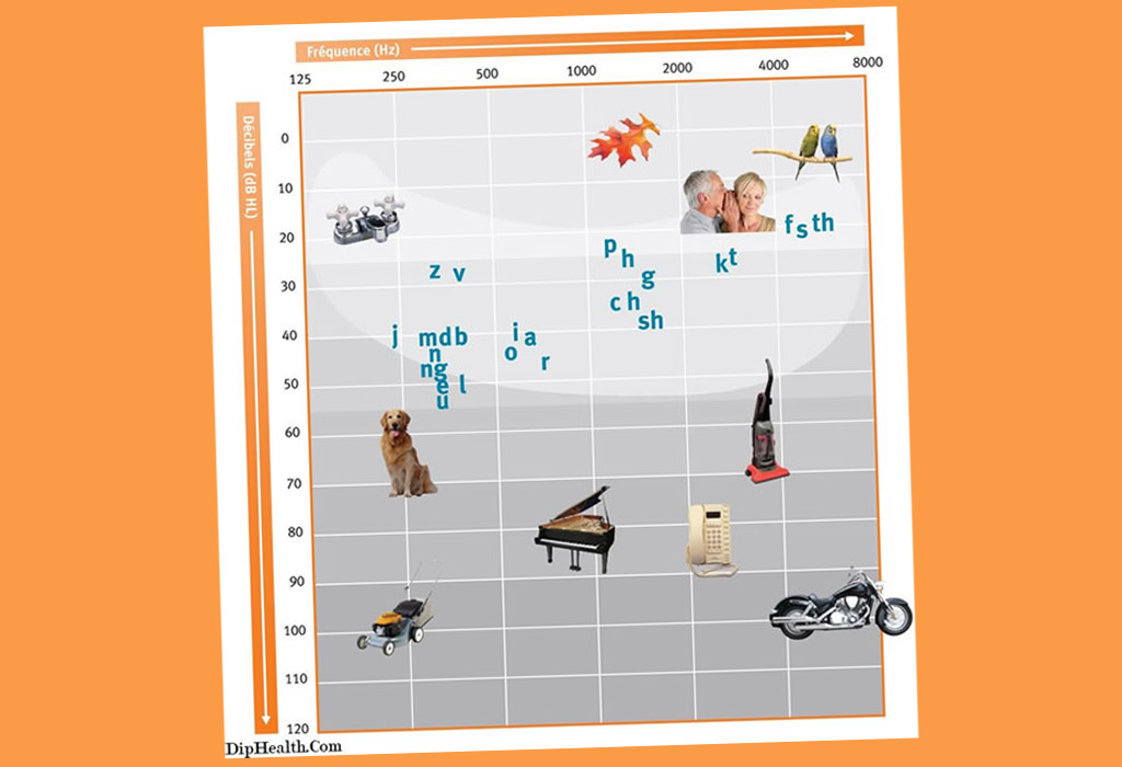 İşitme Kaybı Dereceleri ve Konuşma Muzu